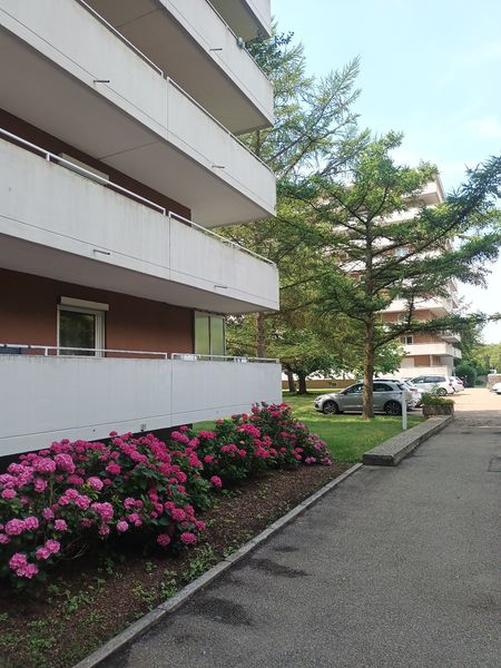 schöne, ruhige, renovierte 2-Zimmer-Whg. Regensburg/West